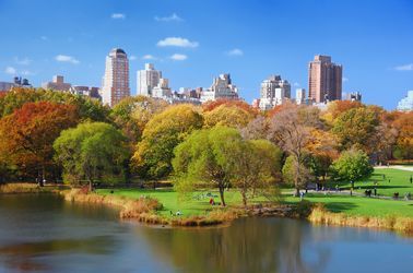 Central Park en automne 