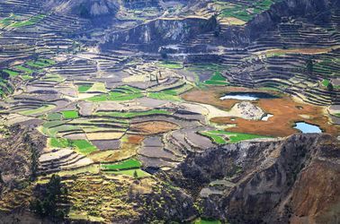 Canyon de Colca