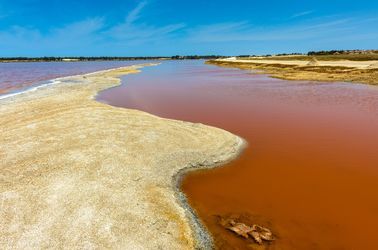 Le lac Rose 