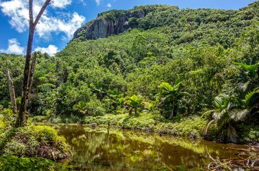 Le parc national du Morne Seychellois