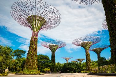 Jardins de la Baie de Singapour