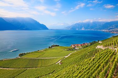 Les vignobles de Lavaux