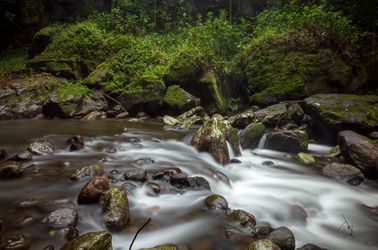 Le parc national des monts Udzungwa