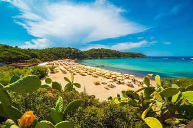 La plage de Fetovaia sur l'île d'Elbe