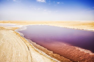 Le lac salé de Chott-El-Jérid