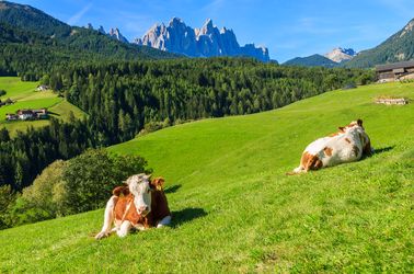 Alpage dans les Dolomites