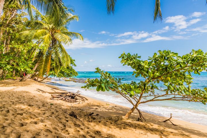 plage Playas de Punta Uva