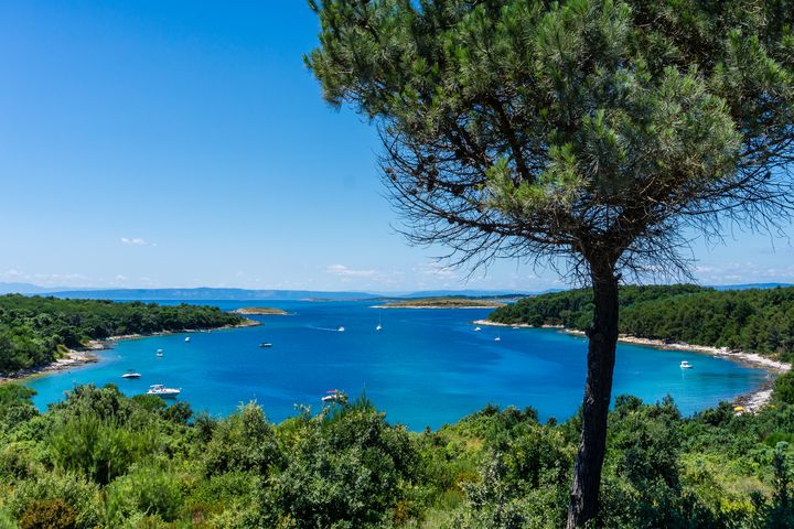 plage Playa y cabo de Kamenjak