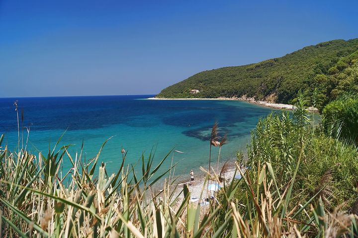 plage Las playas de la isla de Elba