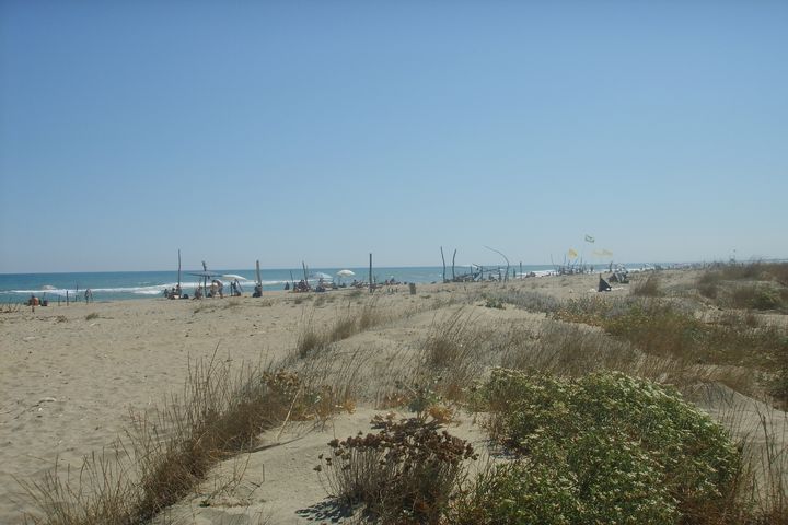 plage Las playas entre Torre del Lago Puccini y Viareggio