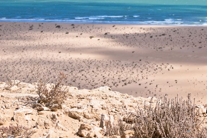 plage Playa Blanca – Guelmim