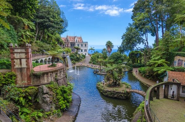 FUNCHAL Y SUS ALREDEDORES